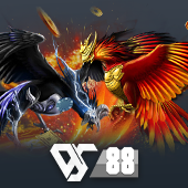 Sabong - Traditional Filipino Cockfighting Game